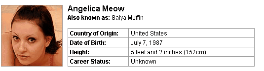 Pornstar Angelica Meow