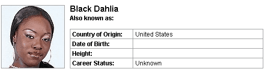 Pornstar Black Dahlia