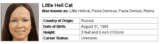Pornstar Little Hell Cat