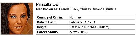 Pornstar Priscilla Doll