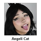 Angeli Cat