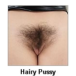 Best Hairy Pussy OnlyFans Models