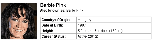 Pornstar Barbie Pink