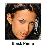 Black Puma