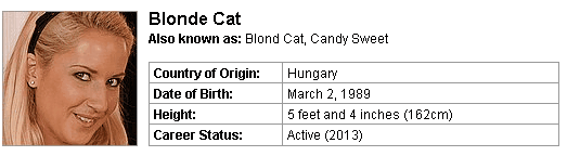 Pornstar Blonde Cat