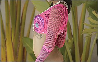 Bonnie Rotten in pink fishnet and stockings posing for your pleasure