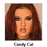Candy Cat Pics