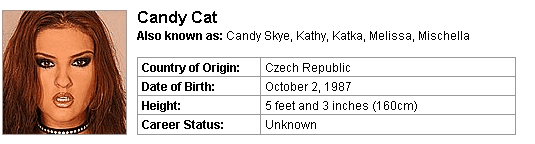 Pornstar Candy Cat