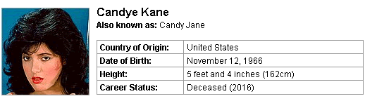 Pornstar Candye Kane