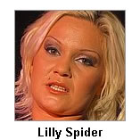 Lilly Spider