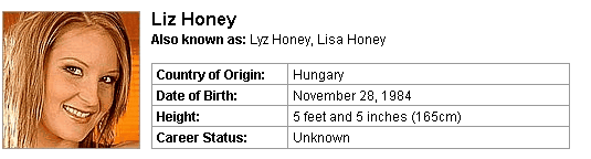 Pornstar Liz Honey
