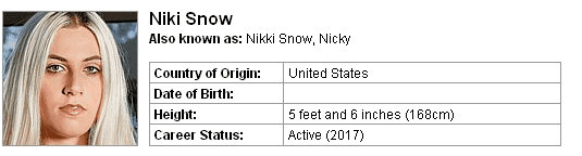 Pornstar Niki Snow
