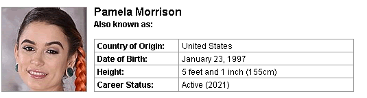 Pornstar Pamela Morrison