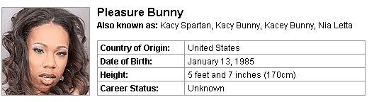 Pornstar Pleasure Bunny