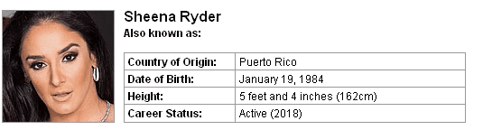 Pornstar Sheena Ryder