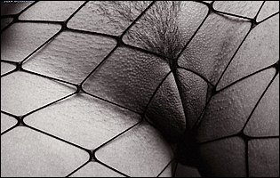 Hot bitch Zoe Britton in fishnet stockings posing in front of the camera